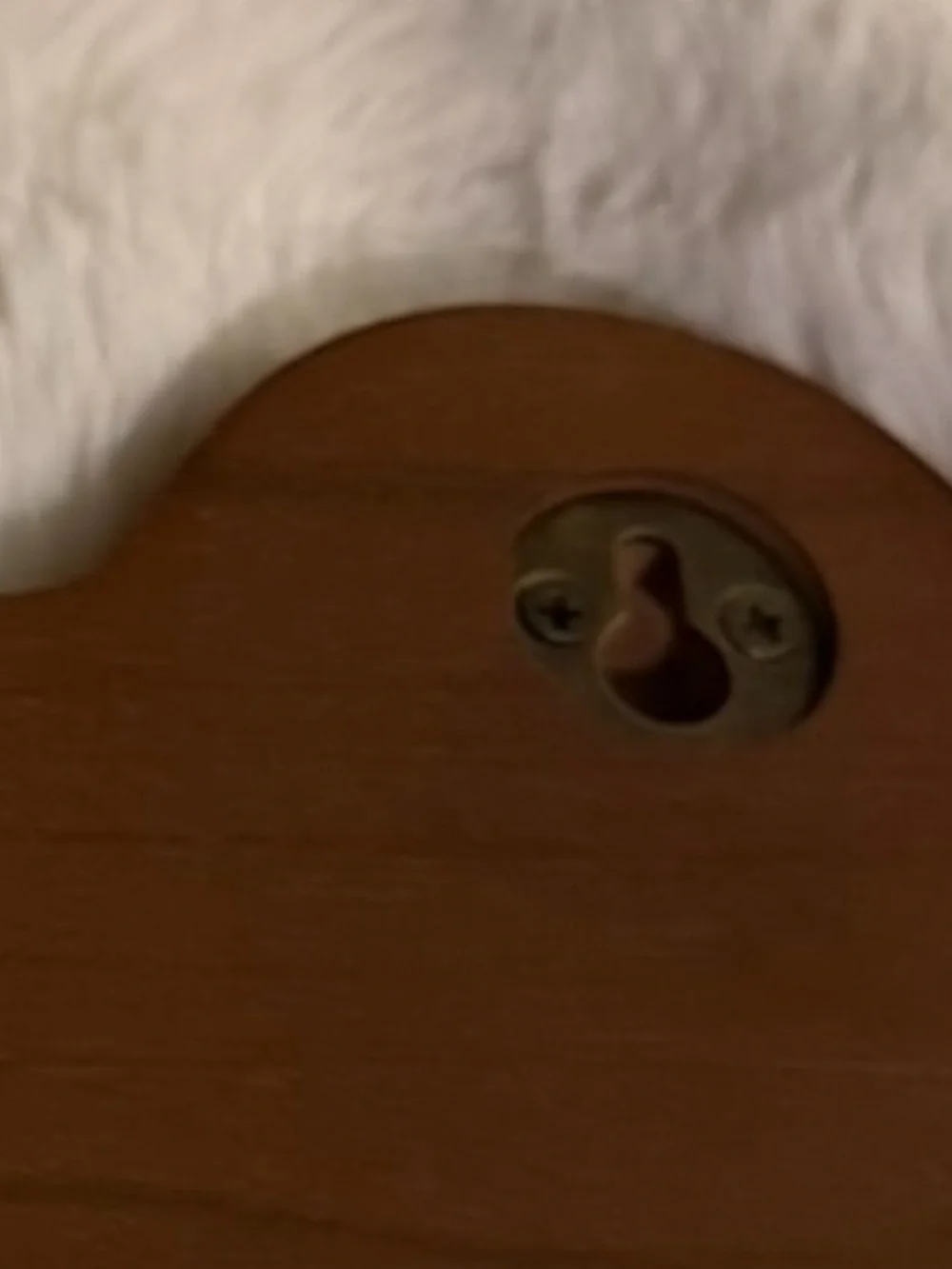 Dog Leash and Key Rack - Brown 